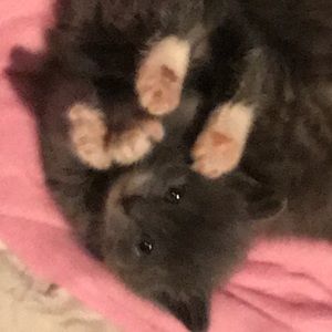 Meet your Posher, Joseph